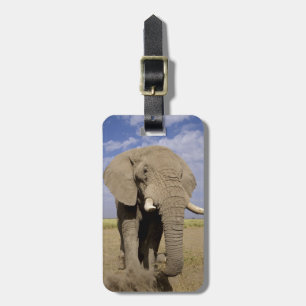 Étiquette À Bagage Kenya : parc national d'Amboseli, éléphant mâle