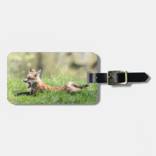 Étiquette À Bagage Kit de Fox rouge