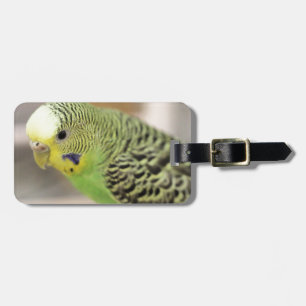 Étiquette À Bagage Kiwi