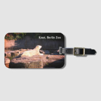 Knut l'ours polaire du zoo de Berlin Einstein