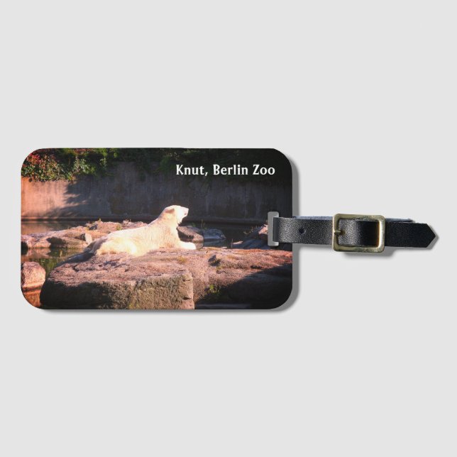 Étiquette À Bagage Knut l'ours polaire du zoo de Berlin Einstein (Devant Horizontal)