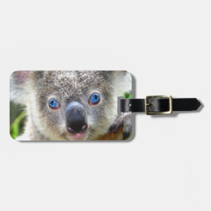 Étiquette À Bagage Koala Bears