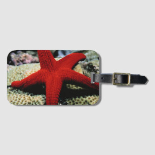 Étiquette À Bagage La Mer Rouge des poissons d'étoile