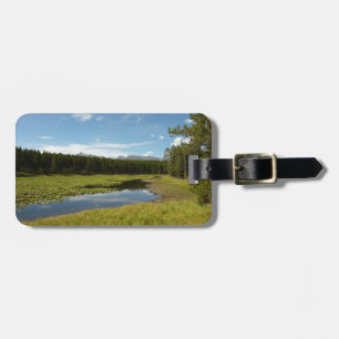 Étiquette À Bagage Lac des Cygnes I dans le parc national de Grand Te