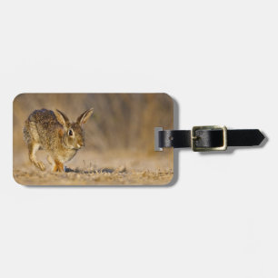 Étiquette À Bagage lapin à queue blanche sautant