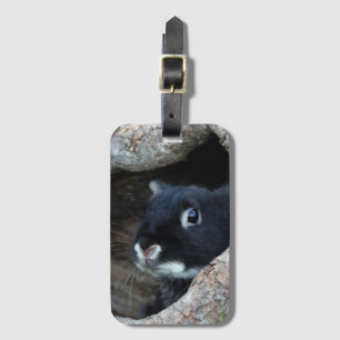 Étiquette À Bagage Lapin noir en creux d'un arbre