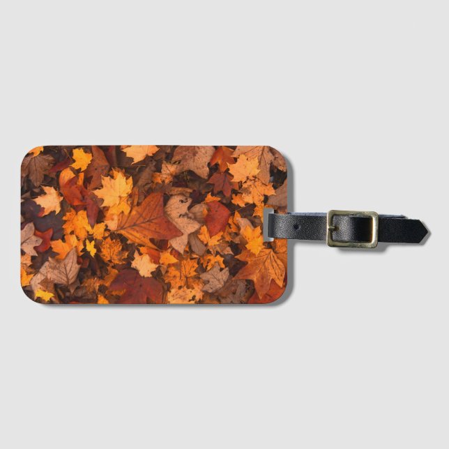 Étiquette À Bagage l'automne (Devant Horizontal)