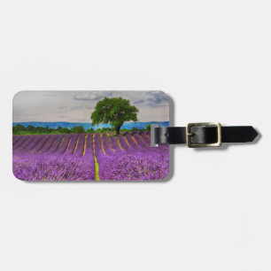 Étiquette À Bagage Lavender Field pittoresque, France