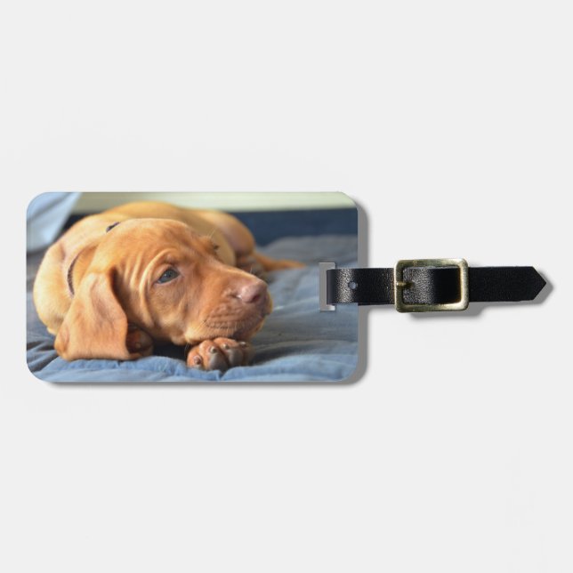 Étiquette À Bagage Le Chiot De Vizsla Repose Sur Sa Paw (Devant horizontal)
