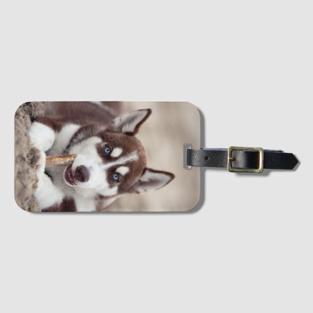 Étiquette À Bagage Le chiot sibérien Husky à la plage (Devant Horizontal)