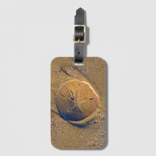 Étiquette À Bagage Le dollar de sable a indiqué sur la plage   Hilton