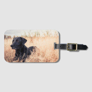 Étiquette À Bagage Le Labrador Noir En Graine Sèche