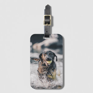 Étiquette À Bagage Le Labrador Noir Joue Dans L'Eau