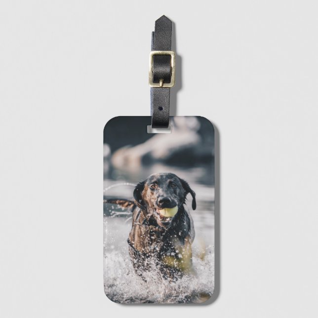 Étiquette À Bagage Le Labrador Noir Joue Dans L'Eau (Devant Vertical)