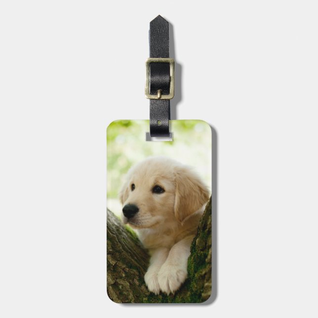 Étiquette À Bagage Le Marionnette Du Labrador Assis Dans Un Cadre De  (Devant Vertical)