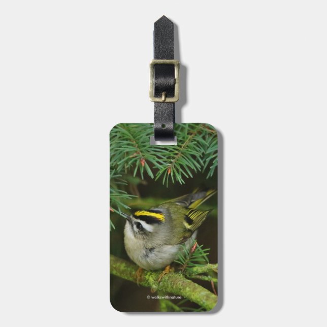 Étiquette À Bagage Le petit petit Kinglet mignon provoque un remue-mé (Devant Vertical)