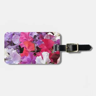 Étiquette À Bagage Le pois doux de rose, pourpre et blanc fleurit en