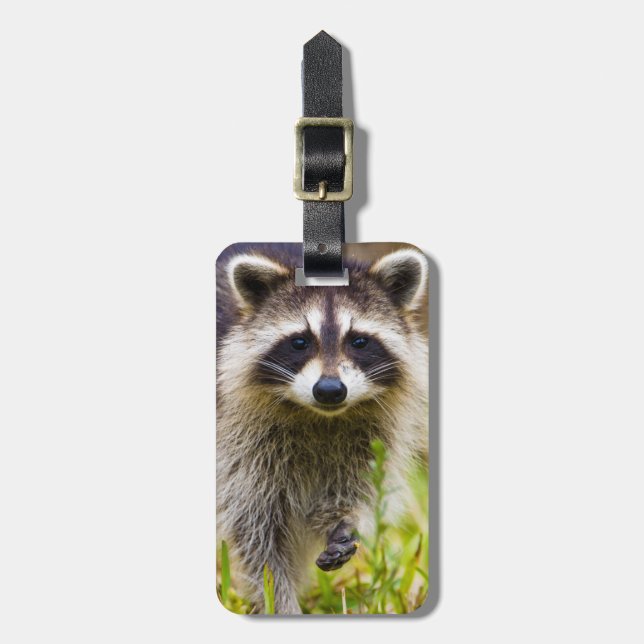 Étiquette À Bagage Le raton laveur, Procyon lotor (Devant Vertical)