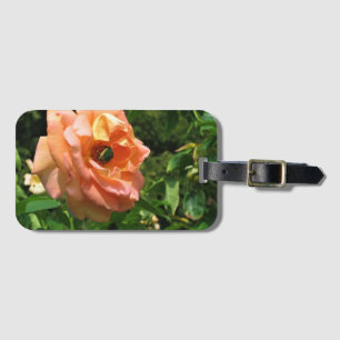 Étiquette À Bagage Le scarabée sur un Rose