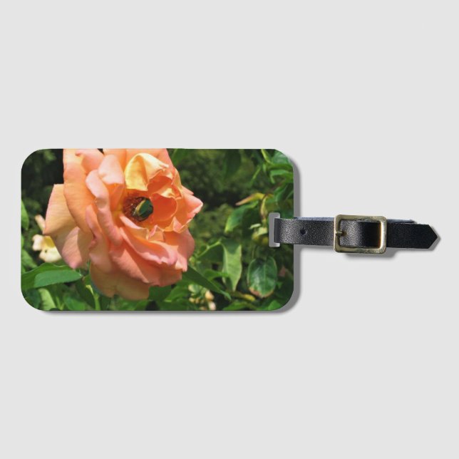 Étiquette À Bagage Le scarabée sur un Rose (Devant Horizontal)