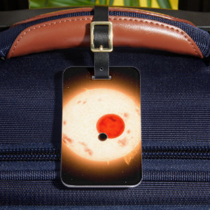 Étiquette À Bagage Le système Kepler-16.