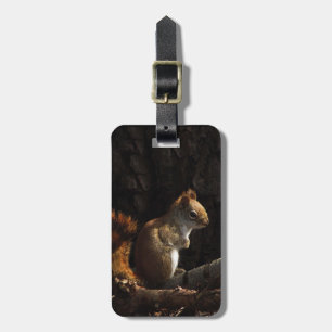 Étiquette À Bagage L'écureuil dans une patte de soleil