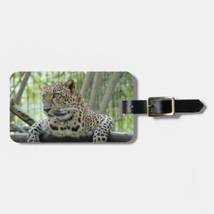 Étiquette À Bagage LeopardSundari_007