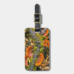 Étiquette À Bagage Les Champignons Cultivant Sur Les Branches, Le Kny