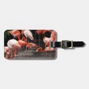 Étiquette À Bagage Les oiseaux de plage tropicaux Flamants roses de d