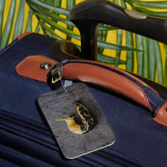 Étiquette À Bagage Lingot Pacifique de banane (Insitu Rectoal 1)