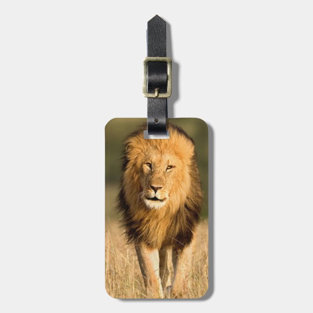 Étiquette À Bagage Lion mâle marchant (Devant Vertical)
