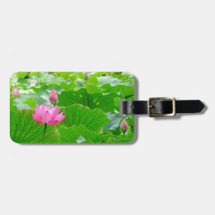 Étiquette À Bagage Lit D'Eau Rose Haut Dans Les Lys Pads