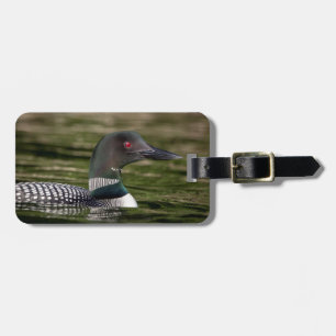 Étiquette À Bagage Loin commun sur l'étang Jabe