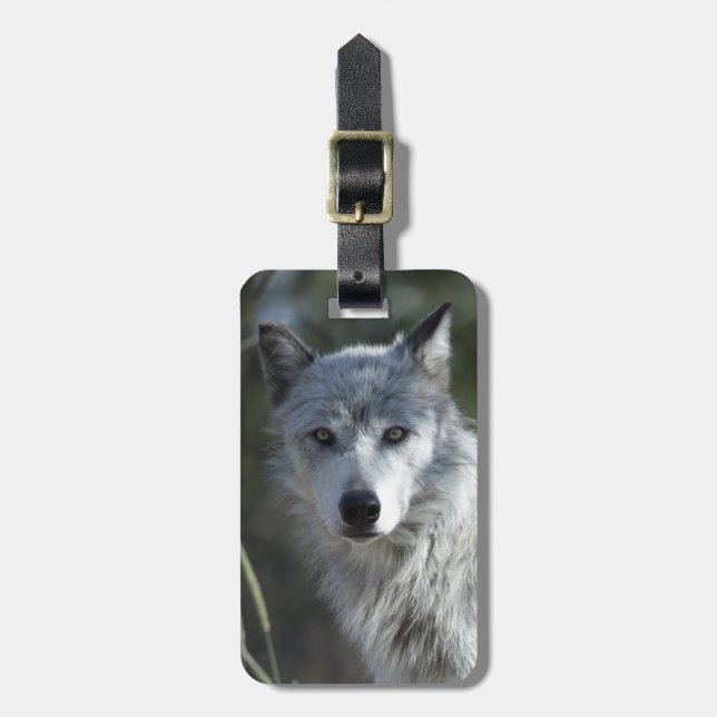 Étiquette À Bagage Loup dans Yellowstone (Devant Vertical)
