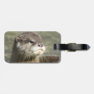 Étiquette À Bagage Loutre mignonne de bébé