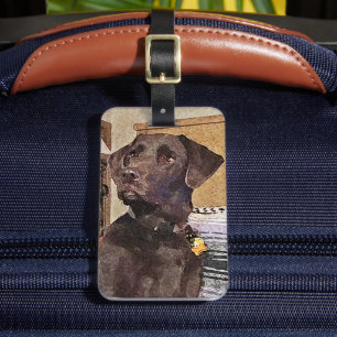 Étiquette À Bagage Magnifique Récupérateur de chocolat Labrador