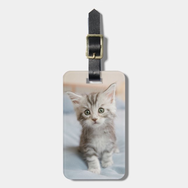 Étiquette À Bagage Maine Coon Kitten (Devant Vertical)