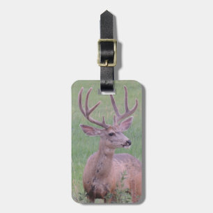 Étiquette À Bagage Mâle de cerfs communs de mule