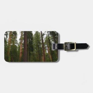 Étiquette À Bagage Mariposa Grove dans le parc national de Yosemite