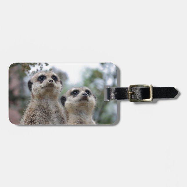 Étiquette À Bagage Meerkat - rêve (Devant horizontal)