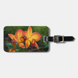 Étiquette À Bagage Merveilleuse Orchidée Rhyncattleanthe Jaune Orange