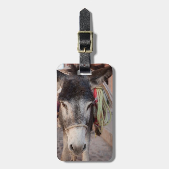 Étiquette À Bagage Mexique, San Miguel De Allende 2 (Devant Vertical)