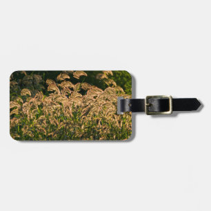 Étiquette À Bagage Millet sauvage (Panicum Sp.) Cultivation En Mer