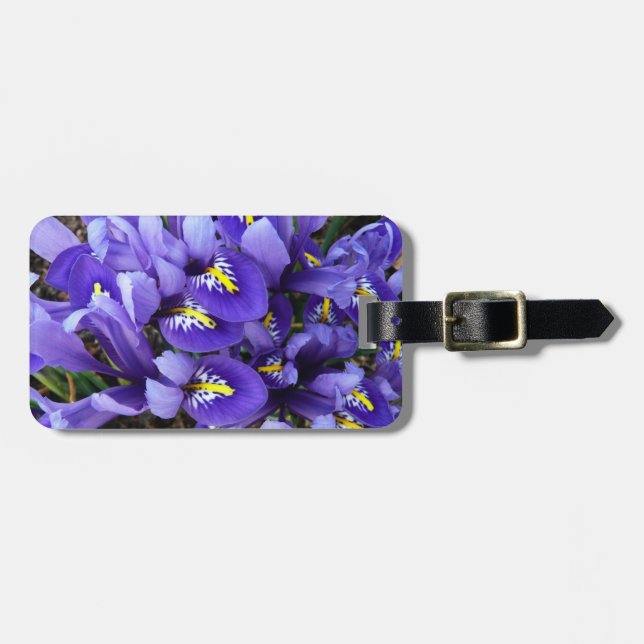 Étiquette À Bagage Miniature Bleu Irises Printemps Floral (Devant horizontal)