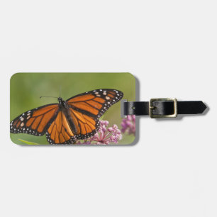 Étiquette À Bagage Monarque papillon mâle sur le marécage Milkweed