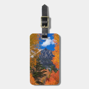 Étiquette À Bagage Montagne encadrée par le feuillage d'automne, CA