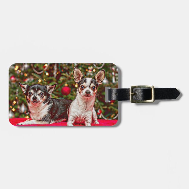 Étiquette À Bagage Noël au Chihuahua (Devant horizontal)