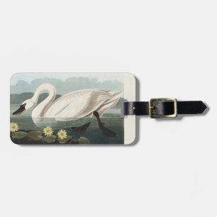 Étiquette À Bagage Nymphéa Cygne Blanc Audubon Vintage Art
