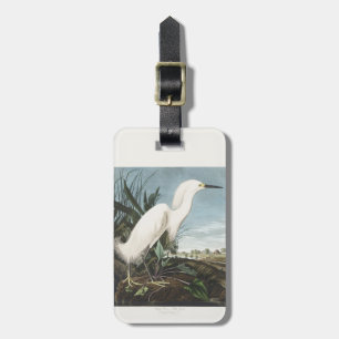 Étiquette À Bagage Œuvre d'art vintage d'Audubon sur l'aigrette neige