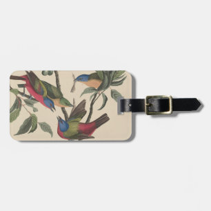 Étiquette À Bagage Oeuvre d'art vintage d'oiseau coloré de Audubon su